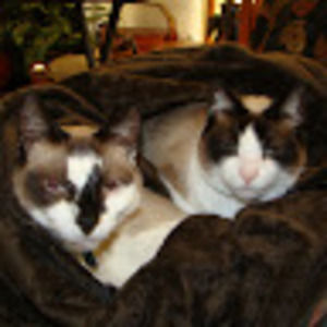 Meet your Posher, Heather